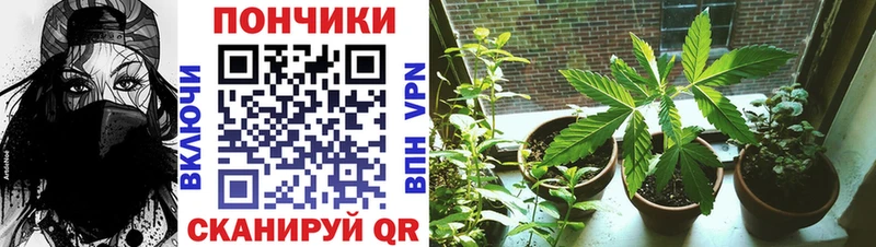 Цена Бийск ГАШ A PVP Меф Бошки Шишки