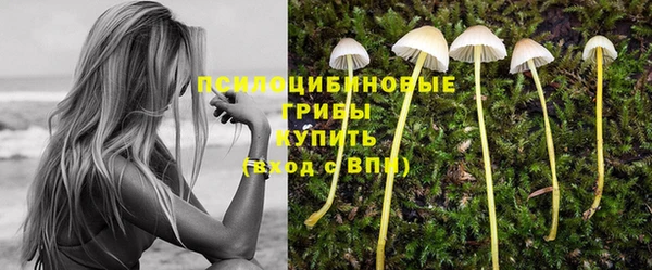 прущий лед Белоозёрский