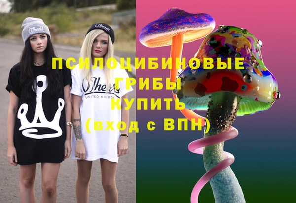 a pvp Белокуриха