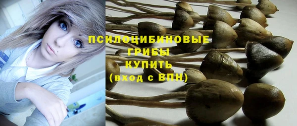 мяу мяу мука Балахна