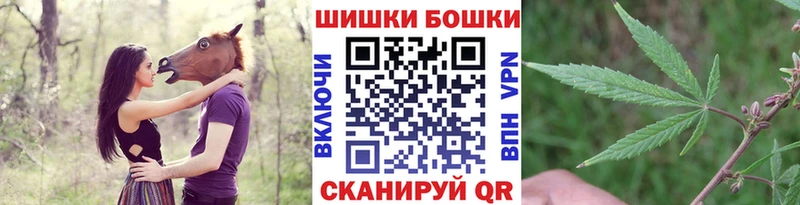 кракен tor  Бийск  Бошки марихуана сатива  купить наркотик 